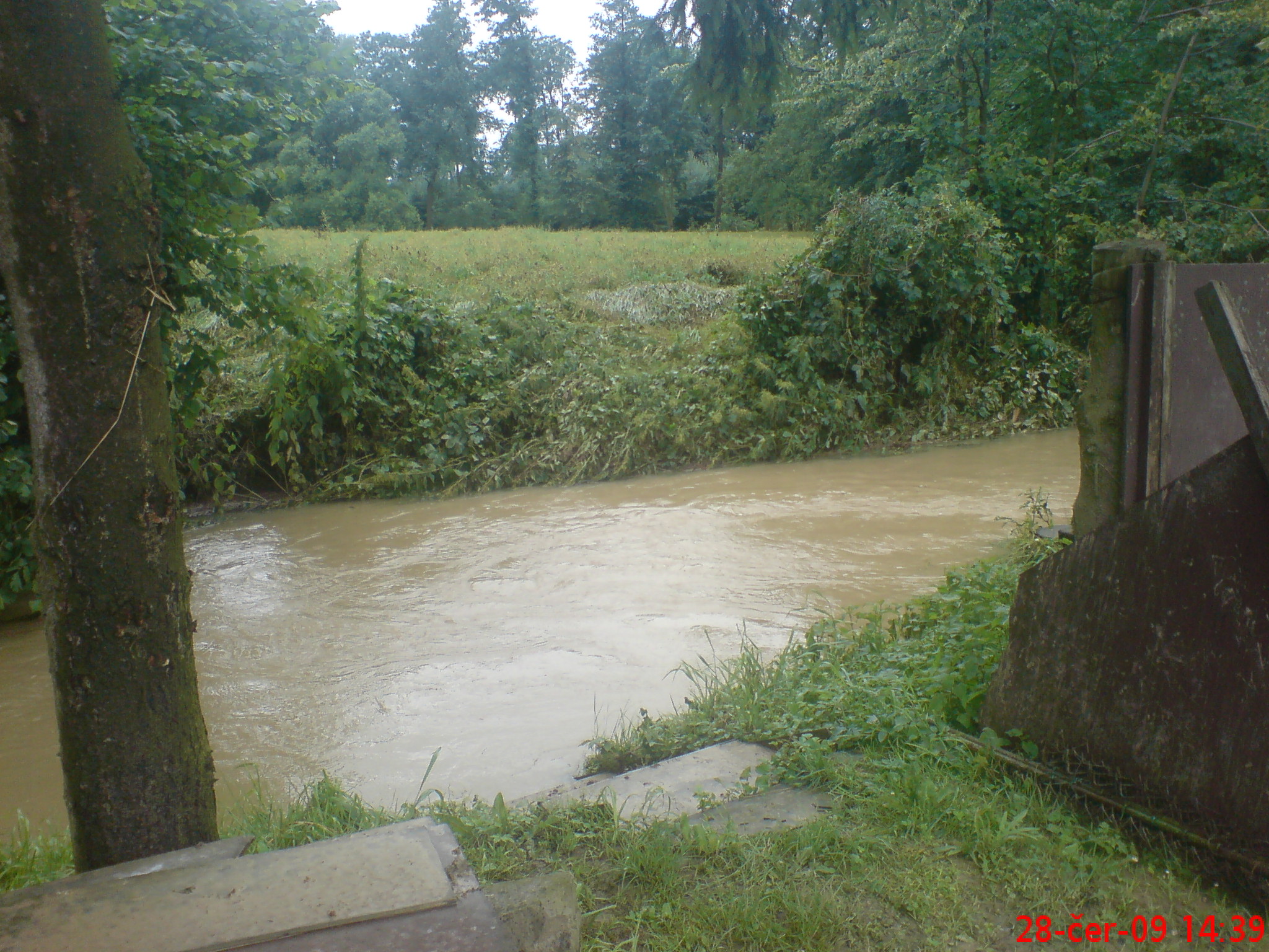 DSC00431.JPG